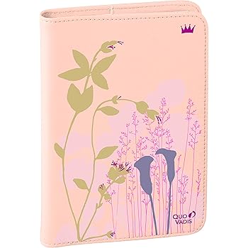 Quo Vadis Robert Le Heros Ministre Toile Agenda Civil Semainier 16x24cm Rose Poudre Annee 2020 Amazon Fr Fournitures De Bureau