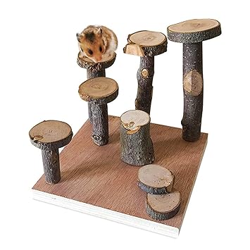 Hamster Climbing Wooden Stand Platform, Pet Cage Playground Natural Wood Chew Toys for Dwarf Hamsters, Syrians Hamster, Gerbil, Mouse, Rat