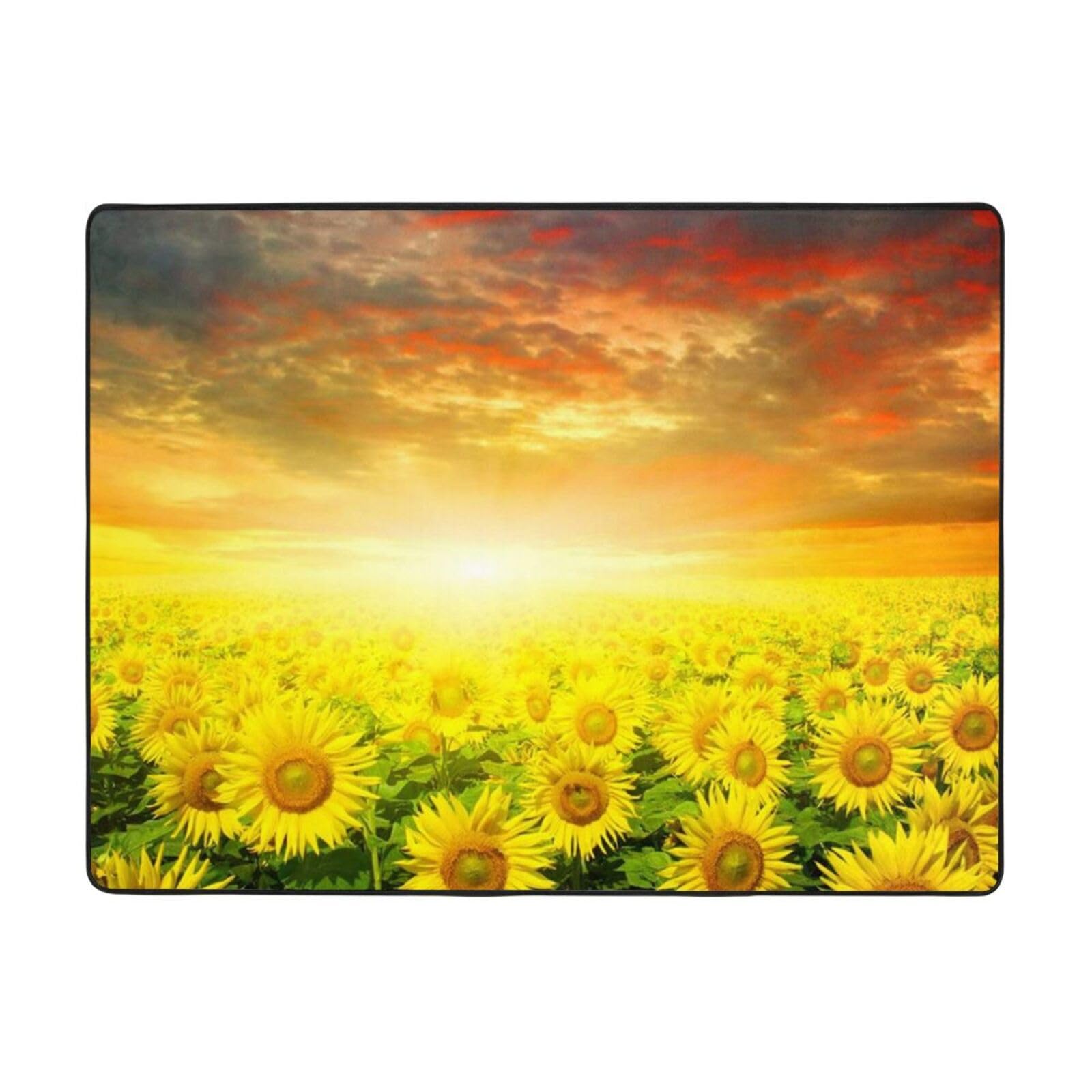 Tapis pelucheux flanelle douce isolant et antidérapante 120 x 160 cm