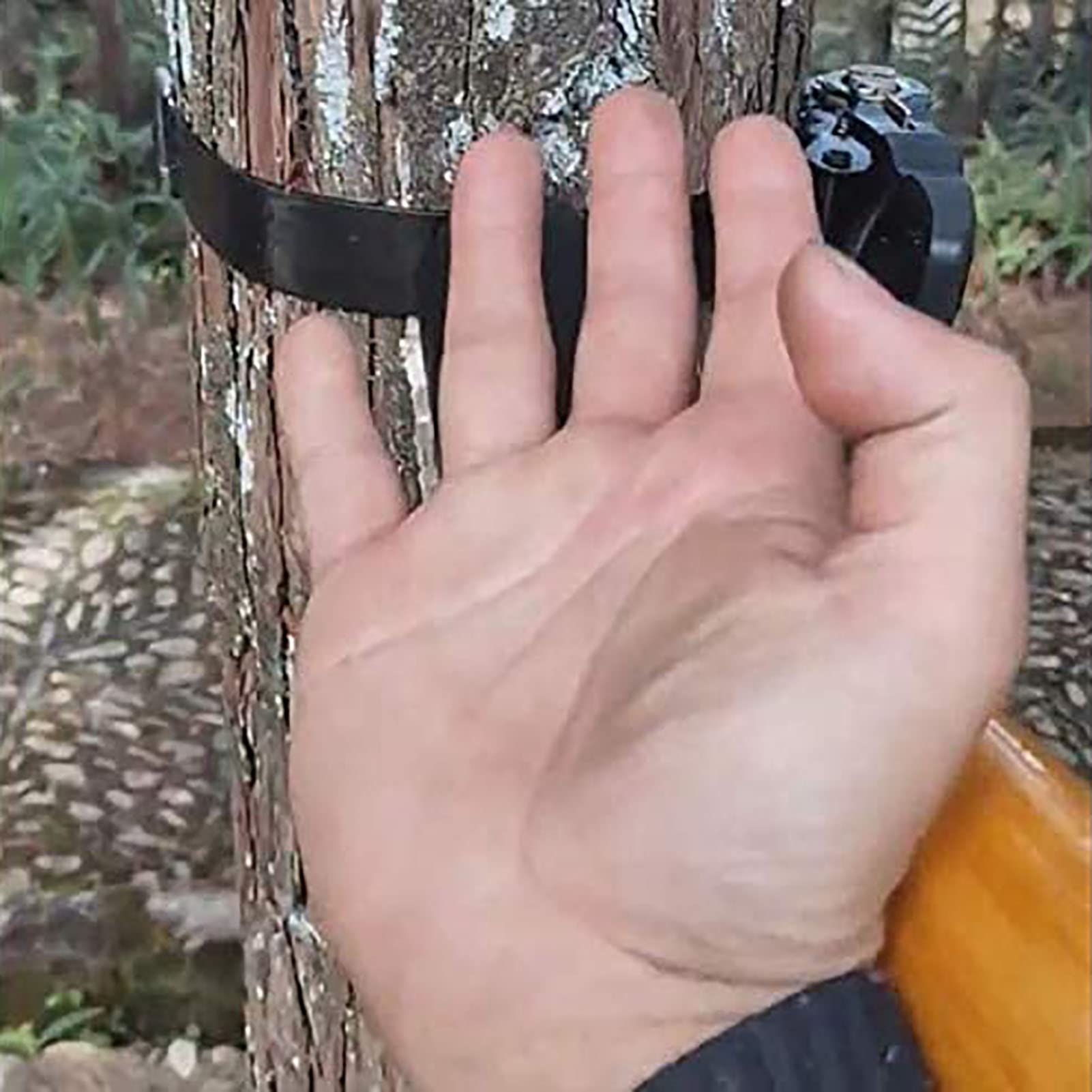Wing Chun zestaw smoczka treningowego, przenośny, drewniany smoczek do sztuk walki, zawiera drzewa i worki z piaskiem, idealny do ćwiczeń i treningów Wing Chun