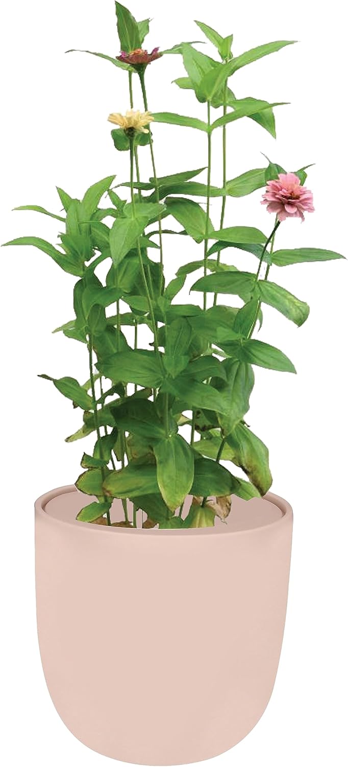 Hydroponic Growing Kit, SelfWatering Garden