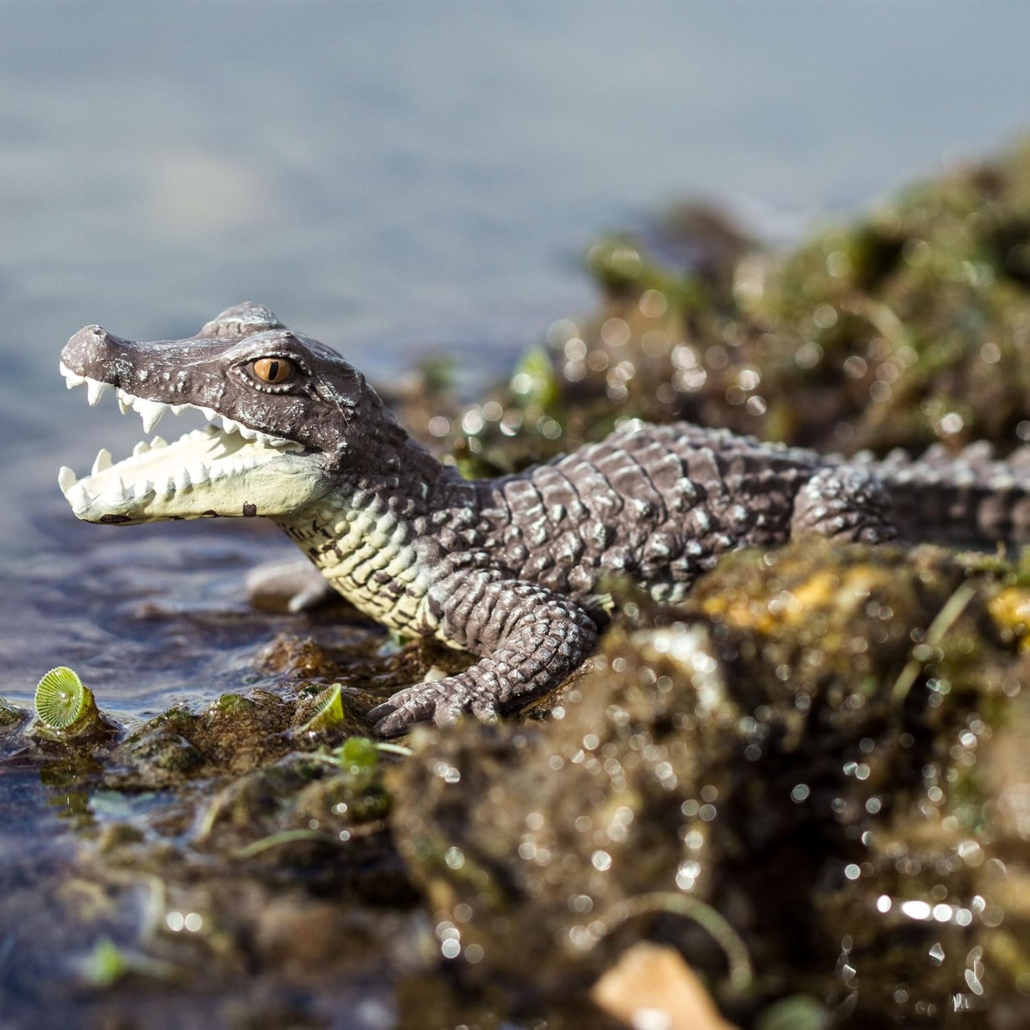 Safari Ltd. Caiman Figurine - Realistic 5" Reptile Figure - Educational Toy for Boys, Girls, and Kids Ages 3+