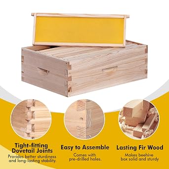 BeeCastle 8 Frame Medium Super Bee Hive Box, Langstroth Honey Bee Hive Include Beehive Frames and Waxed Foundations (Unassembled)