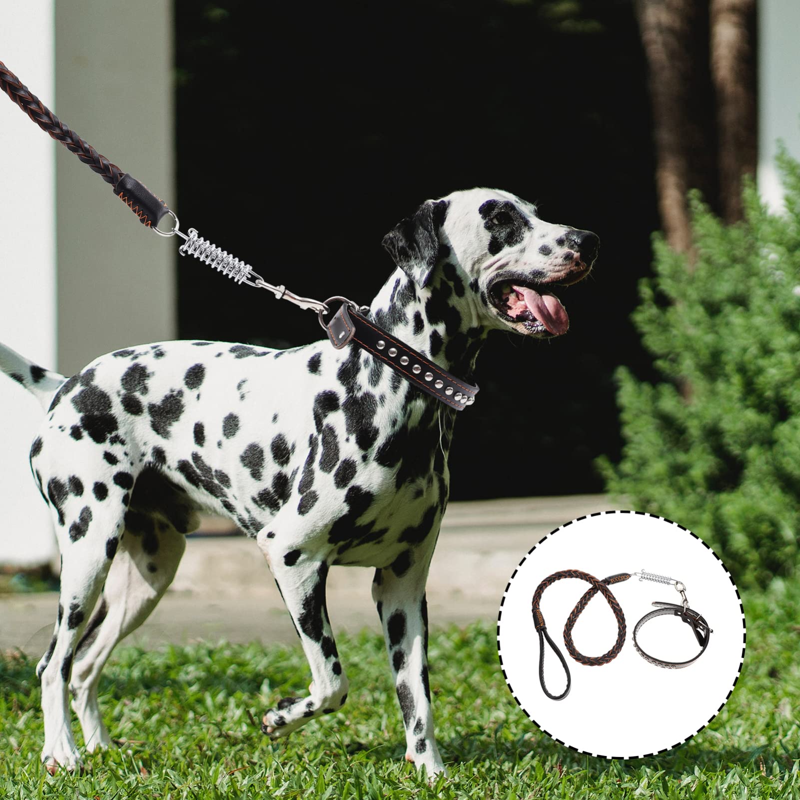 Hunde Springleine mit Federmechanismus 1 Satz aus Leder | Große Hunde, Schwarz, Edelstahl Details, Trainings und Outdoor Einsatz