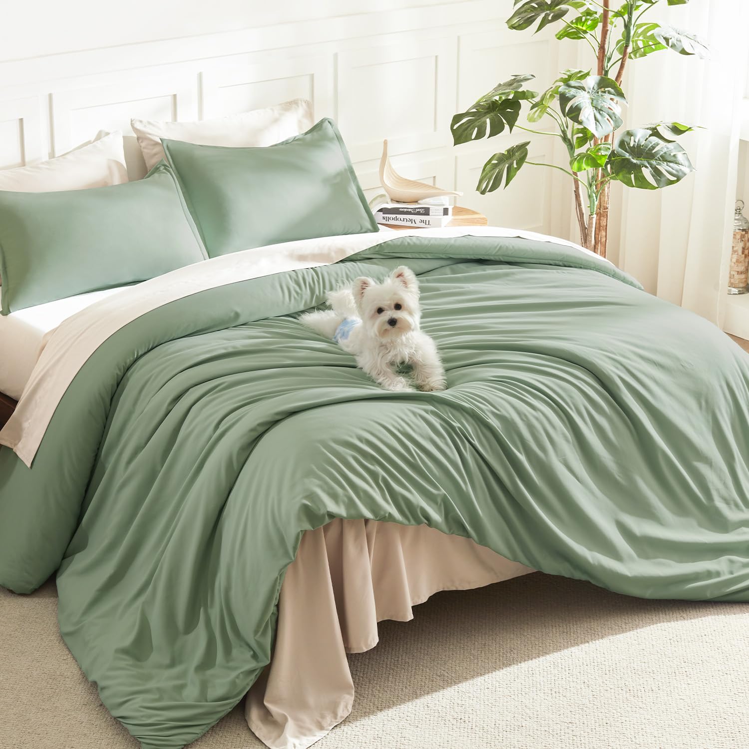 Litanika Sage Green Twin XL Comforter Set, 2 Pieces Extra Long Dorm Bedding — image 1
