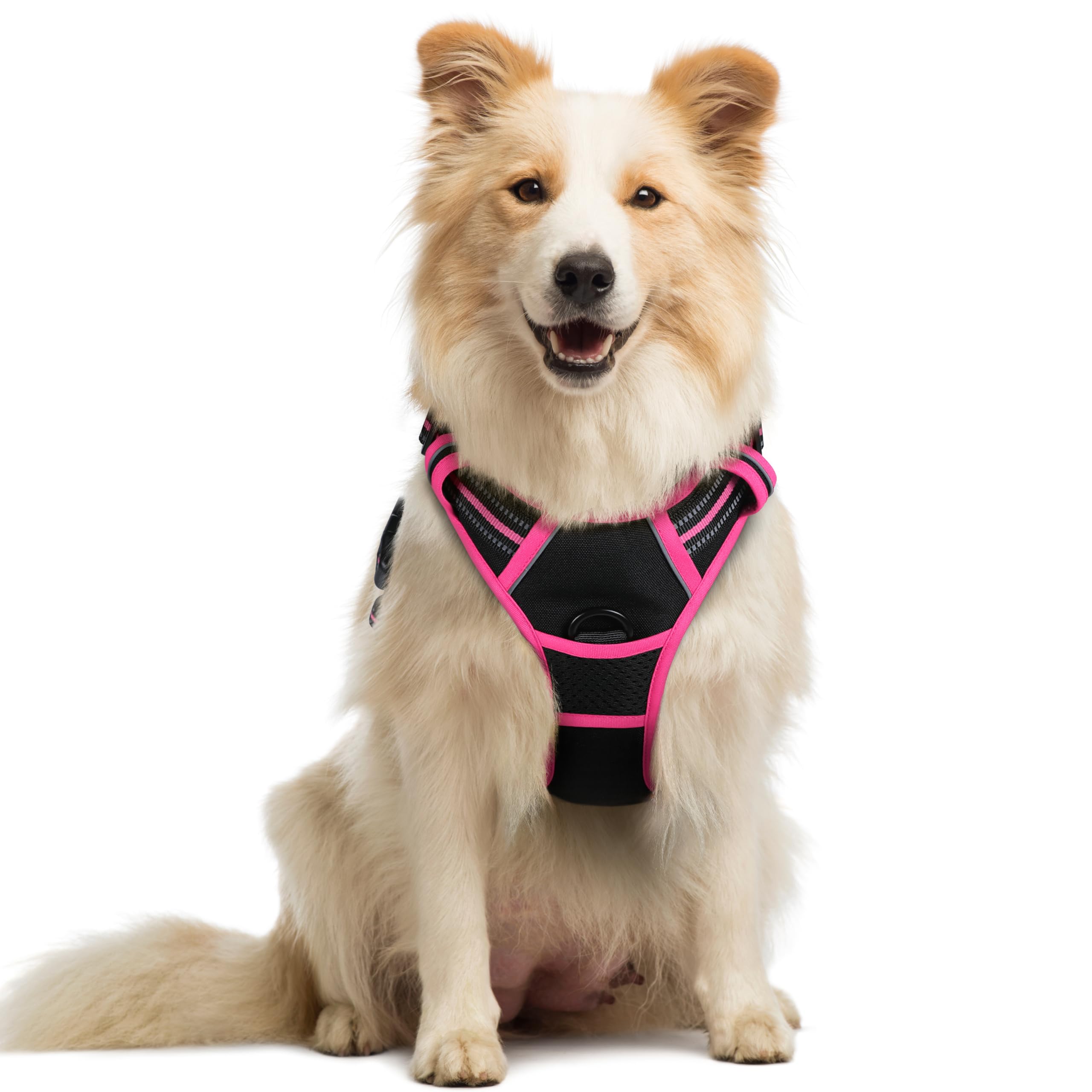 rabbitgoo Dog Harness No Pull with 2 Leash Clips, Adjustable Soft Padded, Reflective Oxford No Choke Pet Vest with Easy Control Handle for Large Dogs, Black &amp; Hot Pink, M