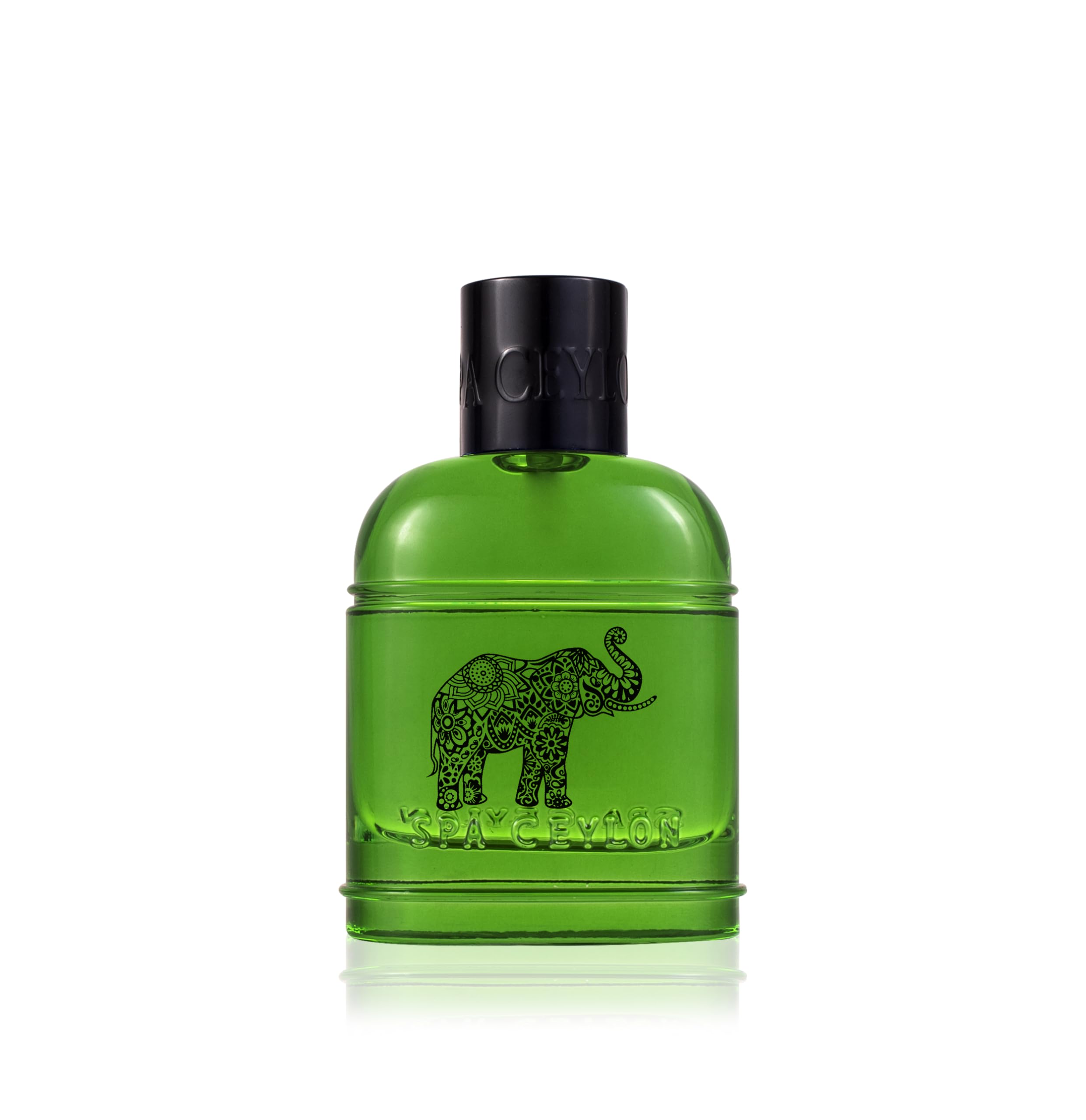 SPA CEYLON Forest Escape Eau de Parfum 100ml – Herrenduft mit holzig-würziger Duftnote – Maskulines Parfum mit Zitrus, Sandelholz & Patchouli – Vegan