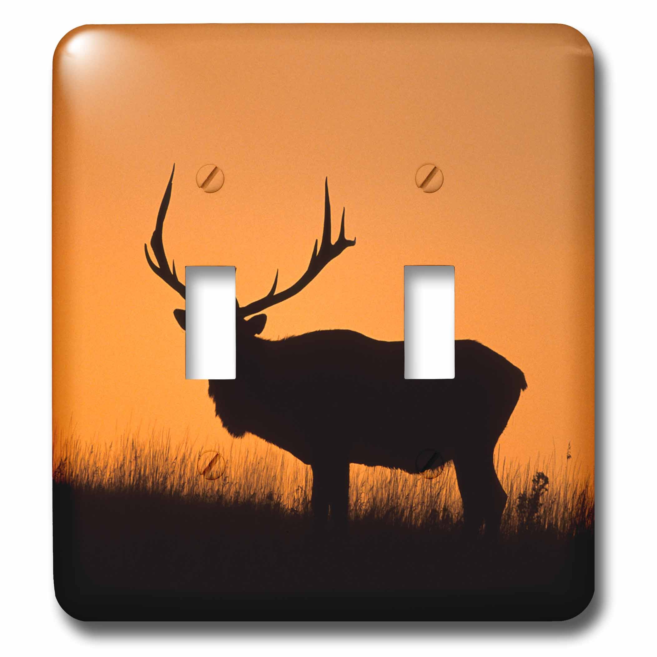 Placa de interruptor de luz 3dRose lsp_259627_2 para decorar salones modernos