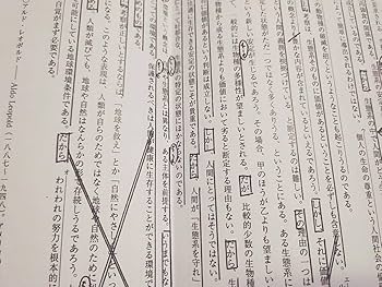 Amazon.co.jp: 東進 23年度 東大特進クラス 林修先生 通期 東大現代文