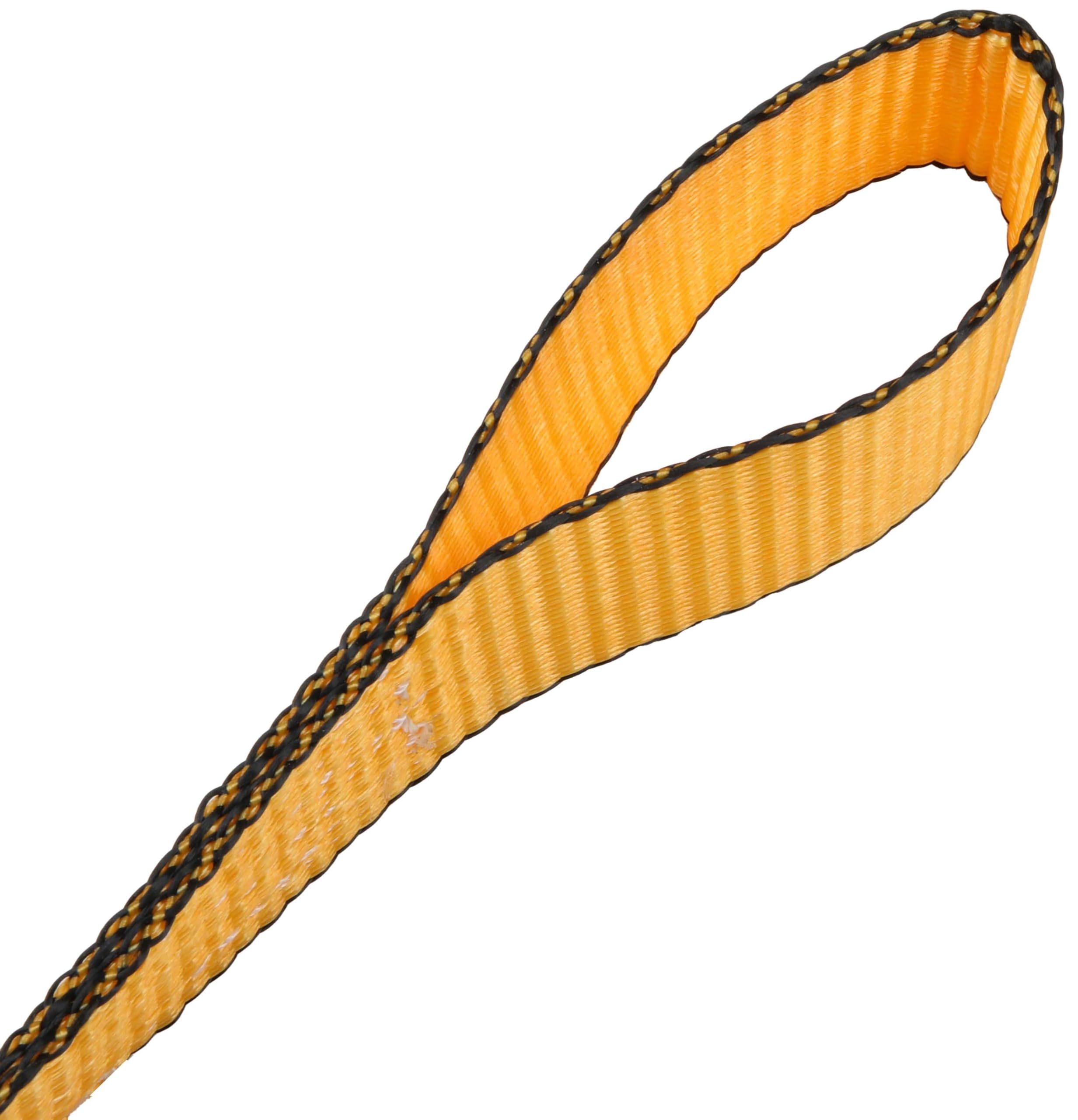 DEWALT DXBC90046 - Cinghie di ancoraggio di alta qualità, 3,2 x 3,2 cm, carico di lavoro sicuro 303,9 kg, resistenza alla rottura 0,9 kg, confezione da 2