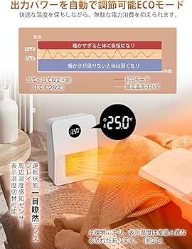 Dimplex 電気パネルヒーター 壁掛け仕様 型式7787.1.FJAJ.01 Dimplex
