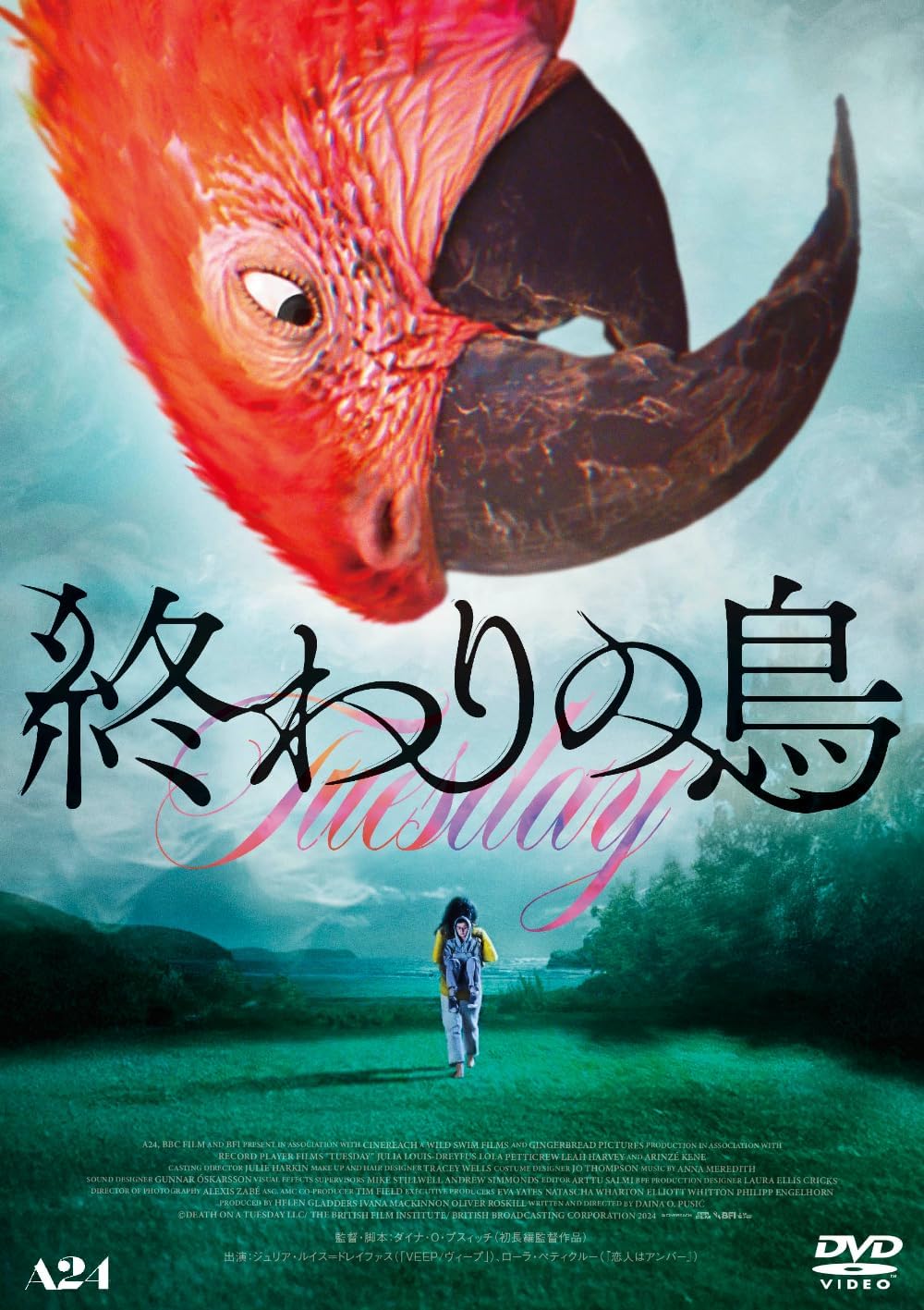 終わりの鳥