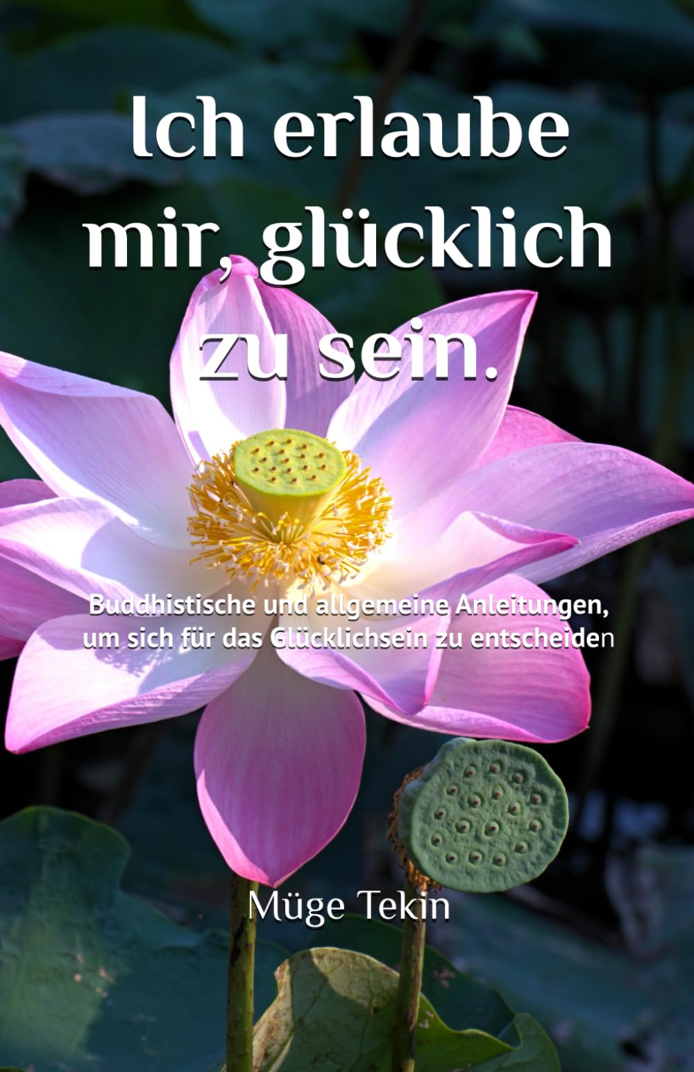 Ich erlaube mir, glücklich zu sein.: Buddhistische und allgemeine Anleitungen, um sich für das Glücklichsein zu entscheiden