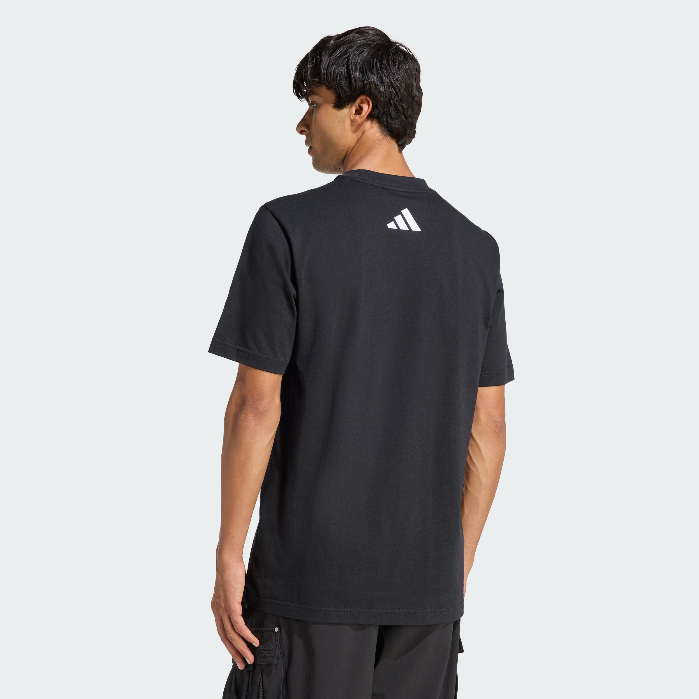 adidas Men's Mercedes-AMG Petronas Formula 1 Team DNA Grafik T-Shirt