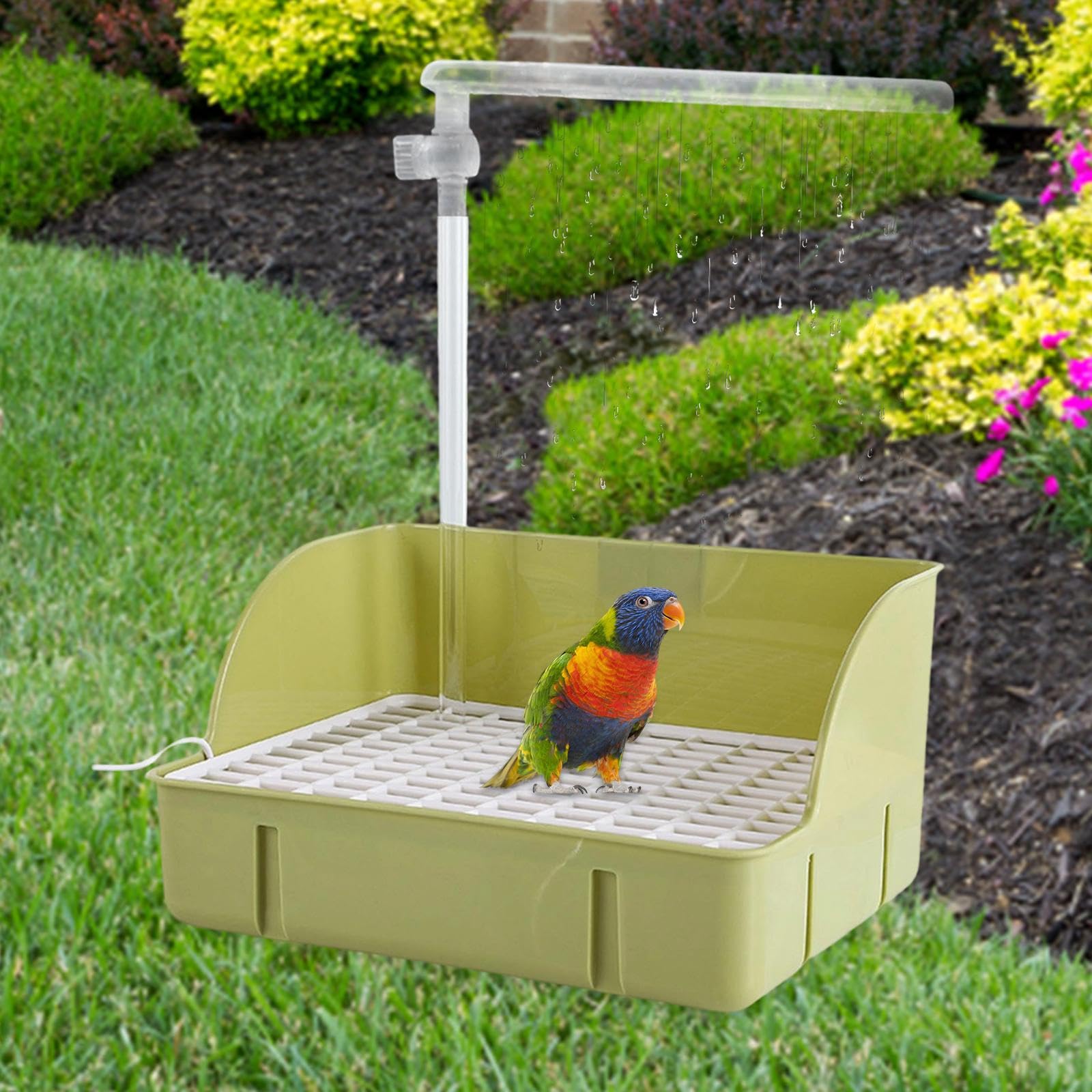 Baignoire Automatique pour Oiseaux, Baignoire pour Perroquets et Perruches, Baignoire pour Oiseaux de Taille Moyenne, Vert