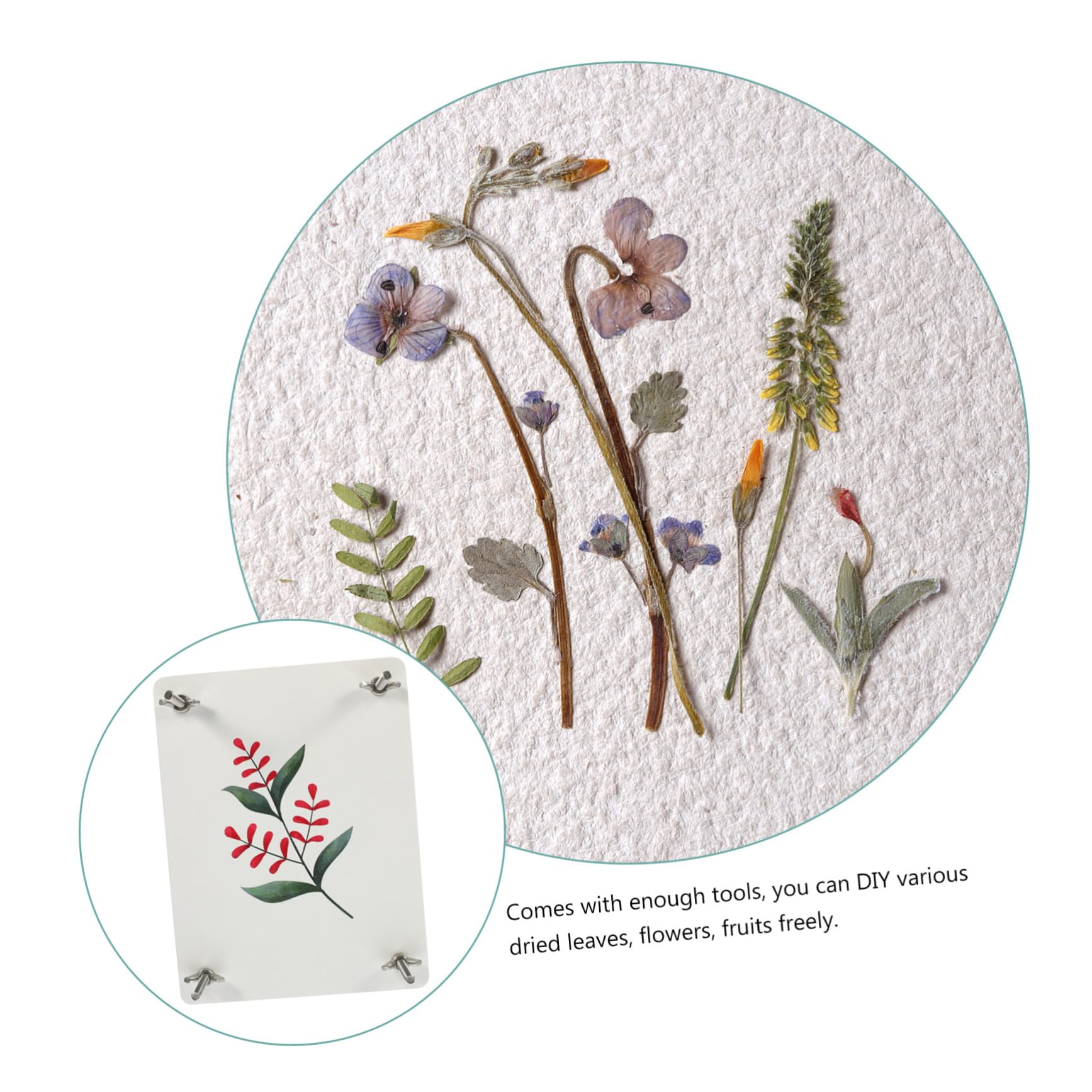 Parliky Blumenpressset für Blumen und Früchte Selbstgemacht Kreativset zum Pflanzenpressen für Scrapbooking und Kerzenherstellung Presswerkzeug für Pflanzen