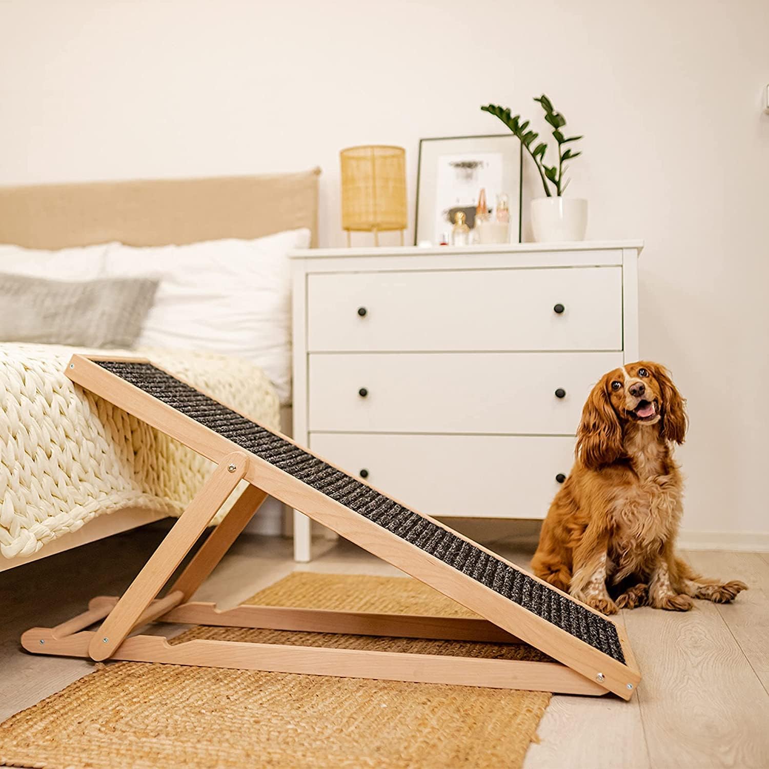 Rampa Pieghevole Per Cani Piccoli - Regolabile Fino A 53cm, Superficie Antiscivolo, Legno Di Pino - Foto 2