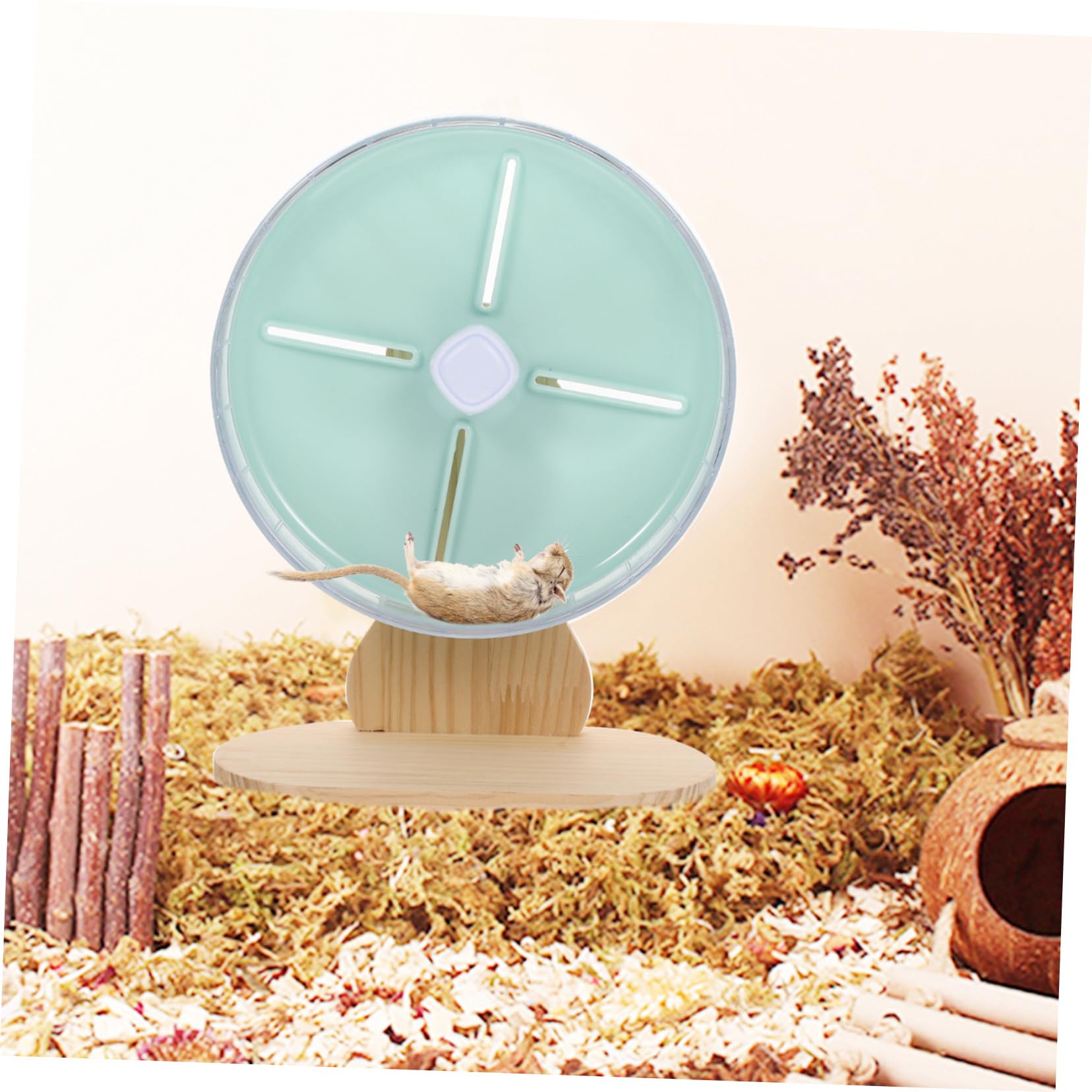 1ensemble Roue Exercice Silencieuse pour Hamster Et Petits Animaux avec Support Idéale pour Hérissons Et Chinchillas Accessoire De Jeu pour Animaux De Compagnie