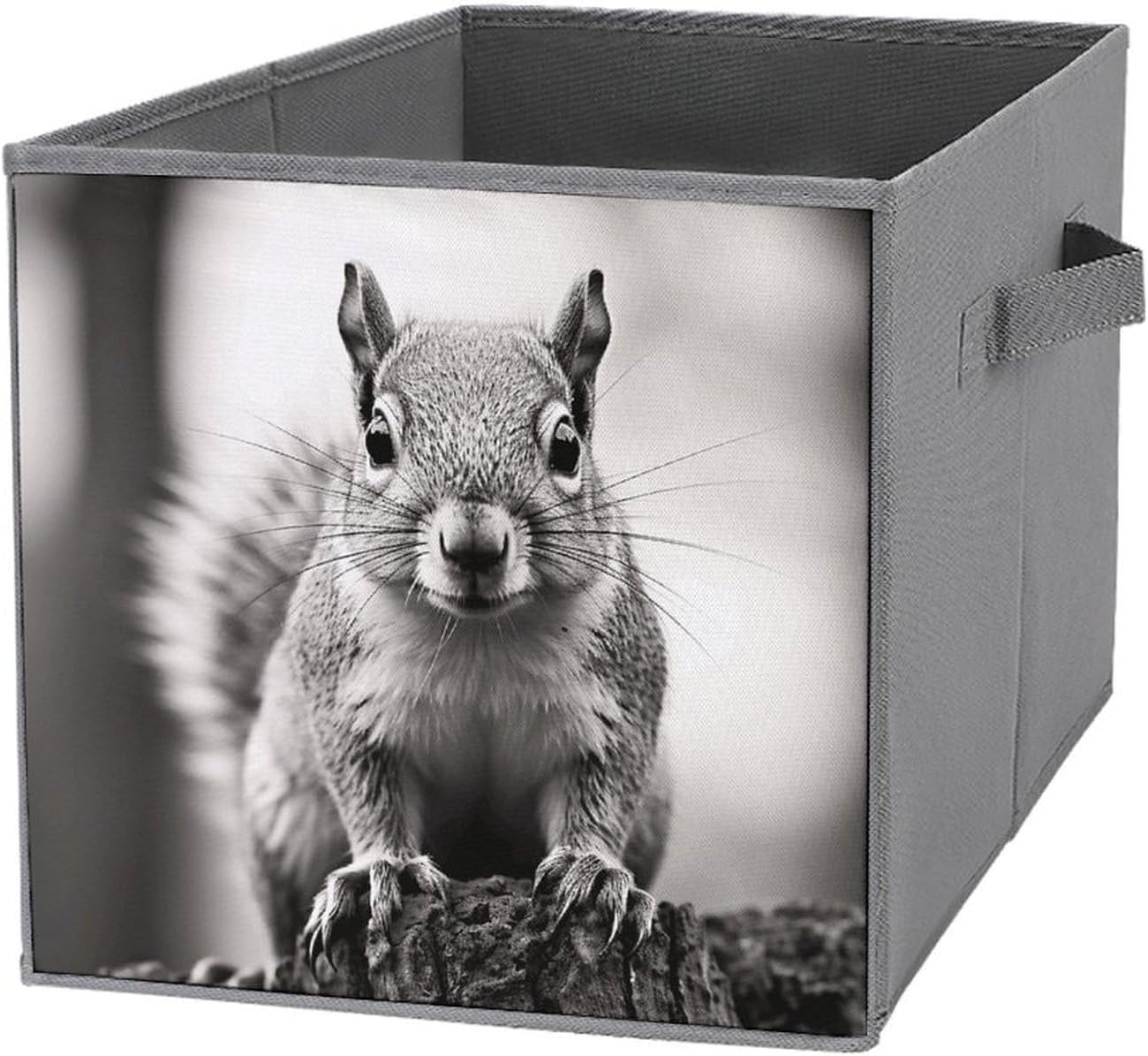 Light Gray Squirrel Storage Cubes Organizer for Home, Foldable Storage Bins with Handles, 10.6 Inch Storage Bags 1PCS for Clothes, Large Organizer Bins for Organizing Bed Sheets