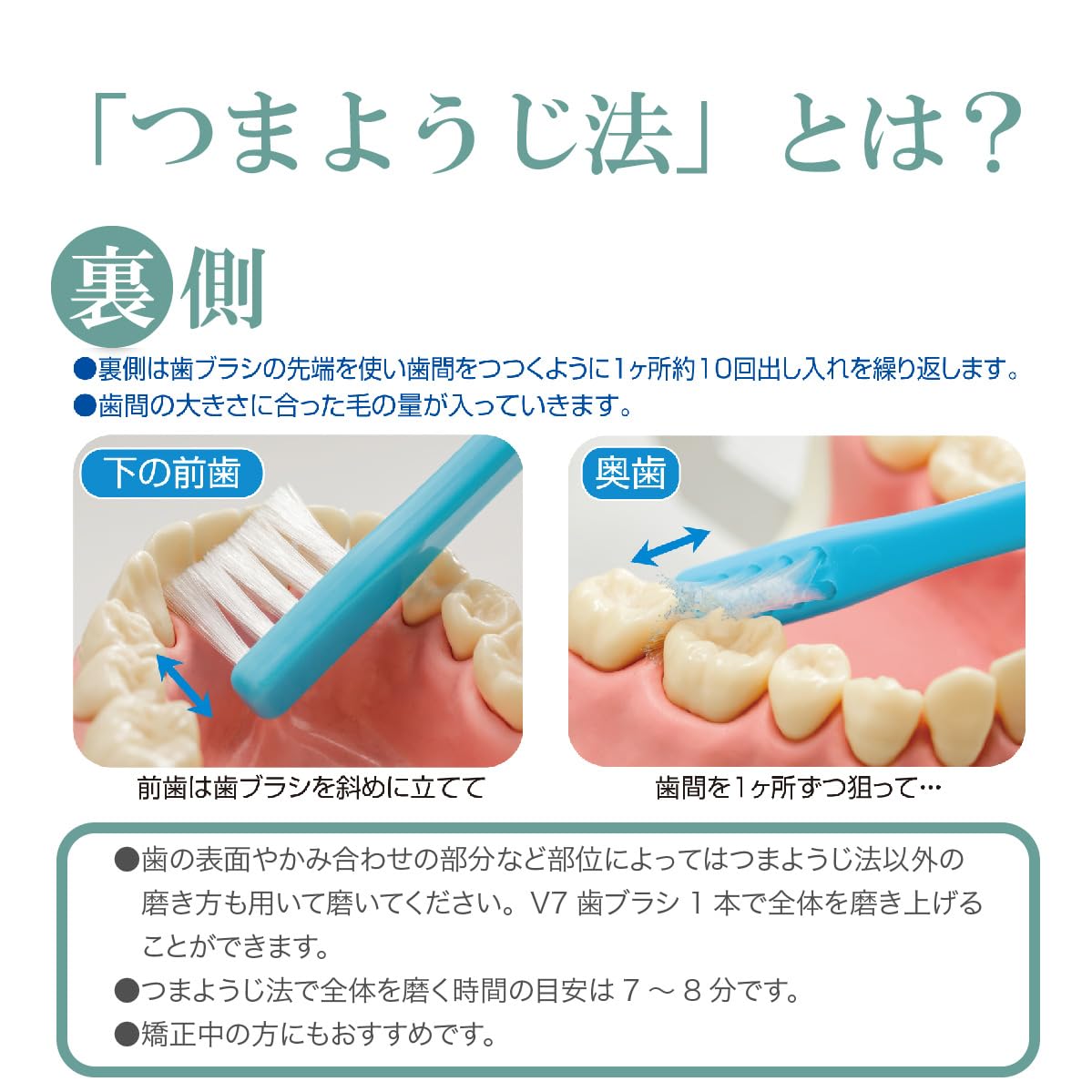 Amazon | つまようじ法 歯ブラシ V-7 コンパクトヘッド Amazon | つまようじ法 歯ブラシ V-7 コンパクトヘッド