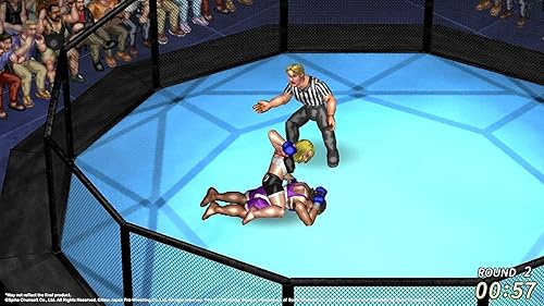 Vista 3 de Fire Pro Wrestling World (PS4)