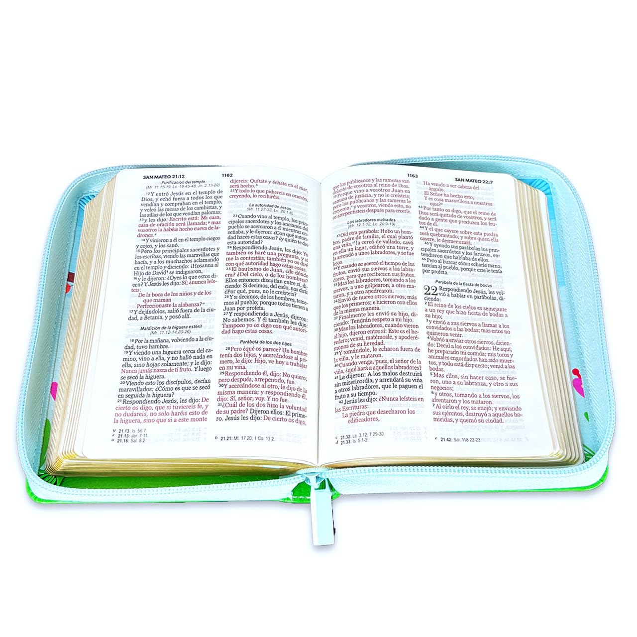 Biblia de Tamaño Bolsillo con Cierre RV1960 celeste floral con ave para mujeres      Imitation Leather – June 12, 2025