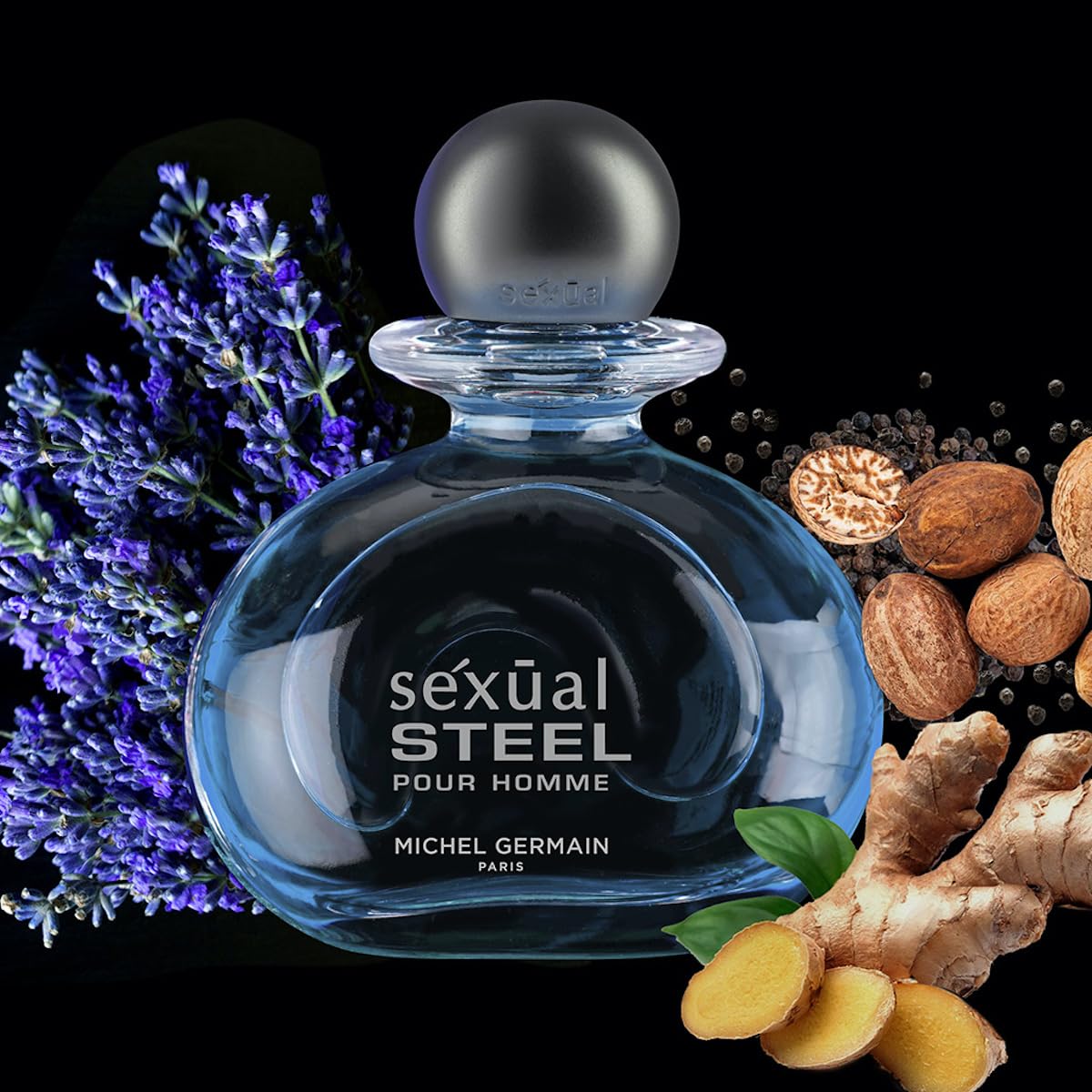 Michel Germain Sexual Steel Eau de Toilette Spray