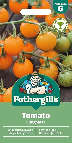 Fothergill's Tomato Moneymaker, Vegetable Seeds, 30 Seeds, Sow: Jan-Apr, Red - 3