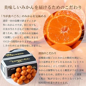 Amazon.co.jp: 熊本・福岡産 シトラス21みかん S/2Sサイズ 約5kg