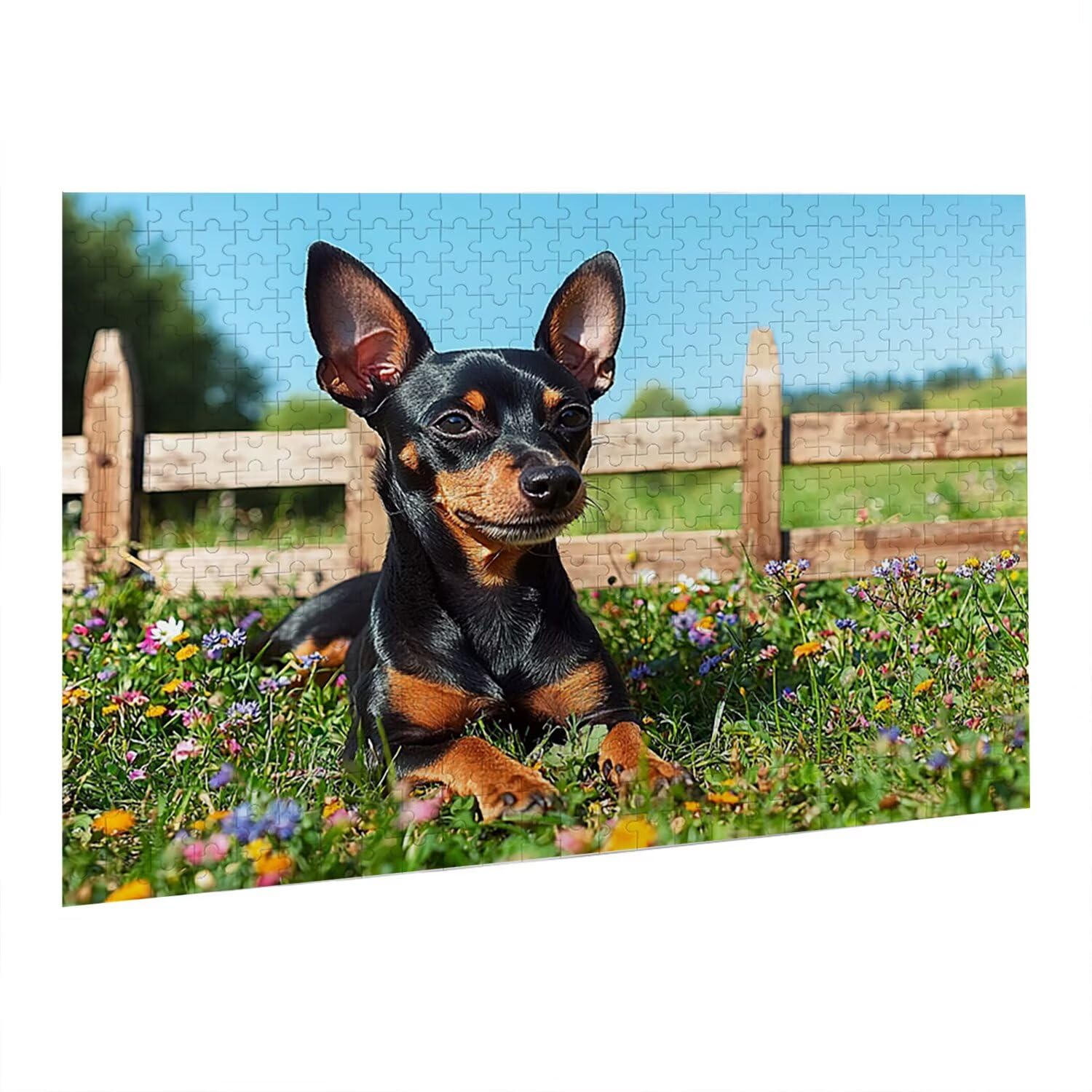Wiesen Puzzle 4000 Teile, 3D Puzzle Erwachsene, EIN Herausforderndes Rätsel, Puzzlespiele für Die Ganze Familie, Geschenke für Männer, Frauen, Weihnachtspuzzle Home Dekoration Thema: Wiesen fr0-1073
