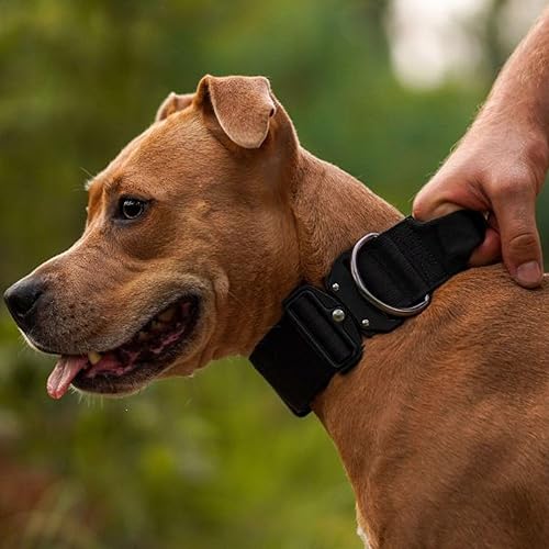 Miniatura 7 de Spark Paws - Collar táctico para perro, resistente, de alta calidad, grueso y duradero, para perros grandes y medianos, color negro, talla M