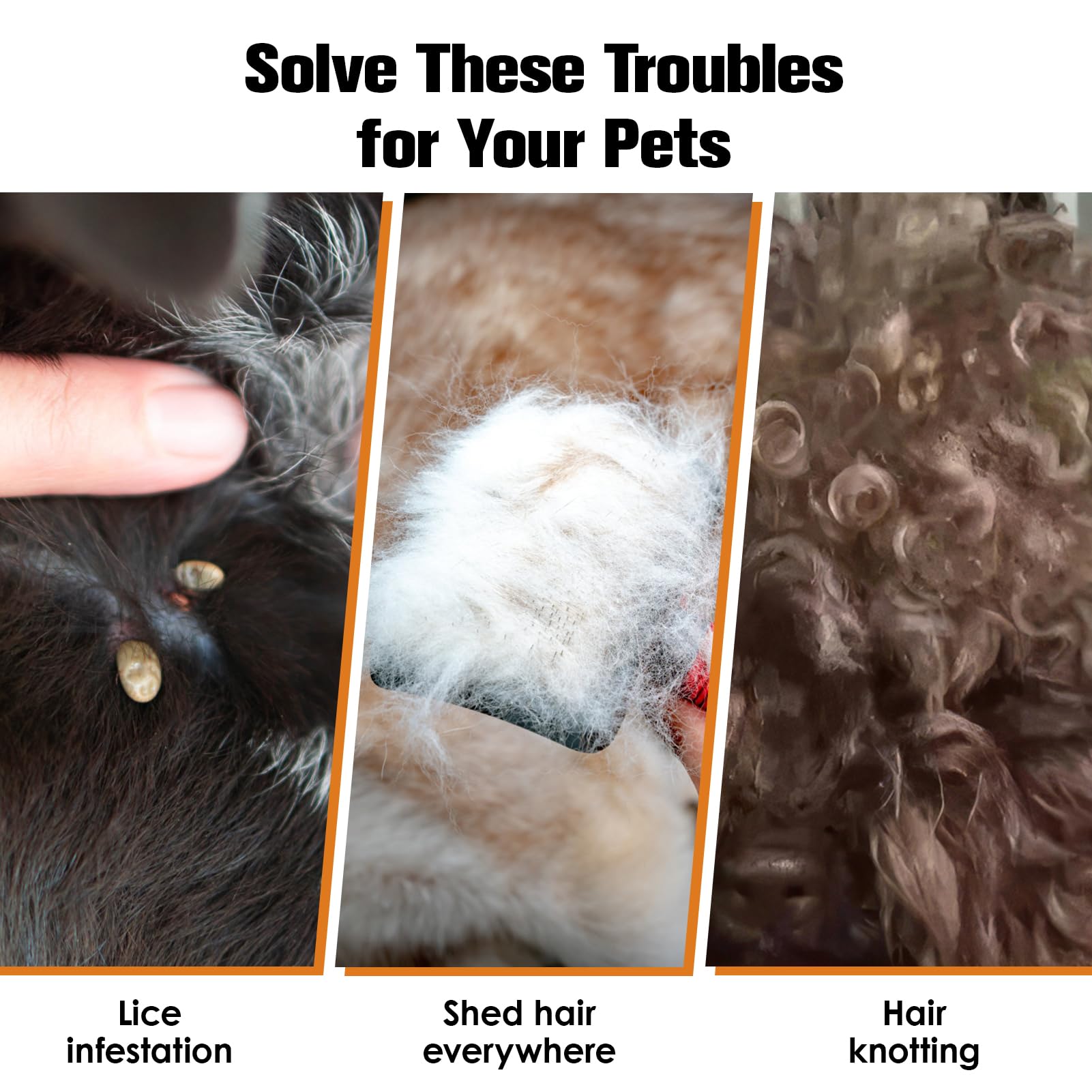 Peigne Anti-Poux et Lentes pour Enfants et Adultes, Élimination Efficace, 4 Peignes à Dents Fines Double Face, Convient également pour Animaux, Anti-Puces et Tiques pour Chien et Chat B