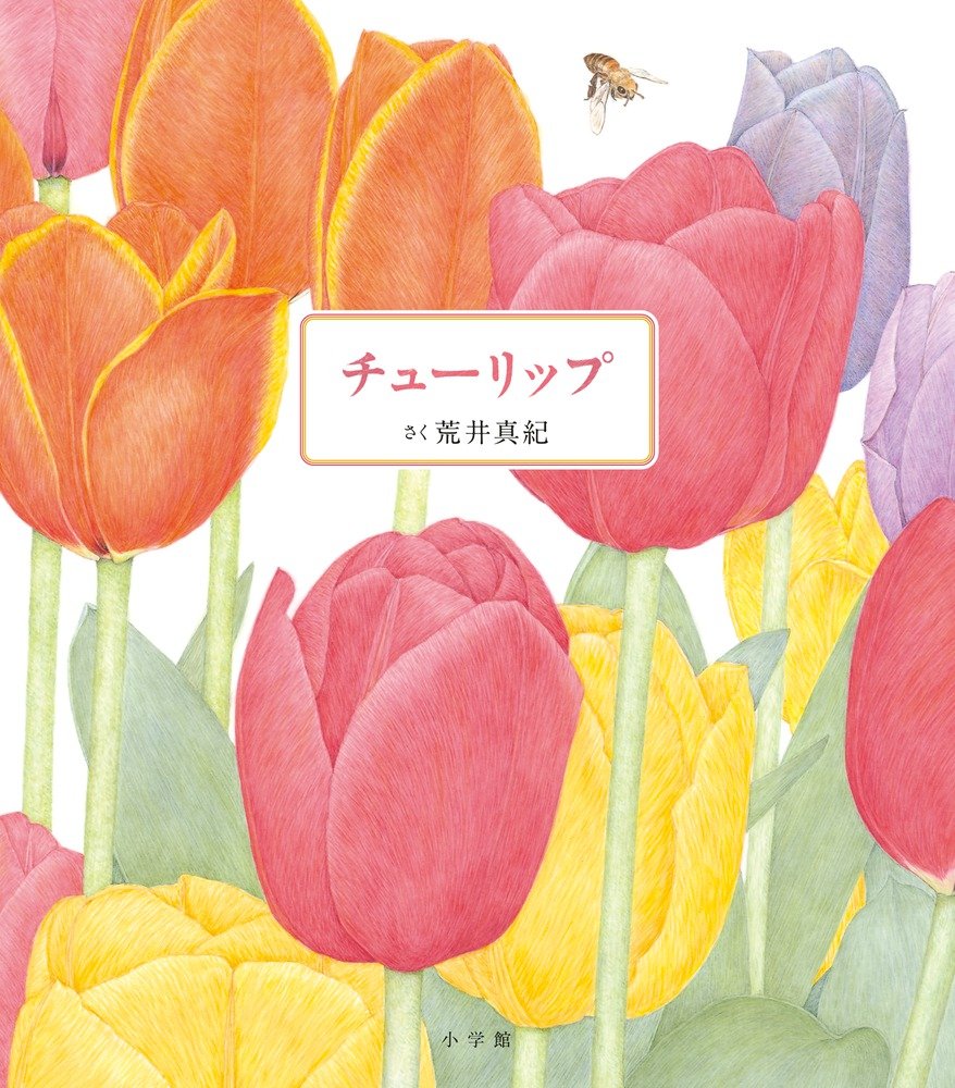 チューリップ | 荒井 真紀 |本 | 通販 | Amazon