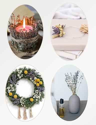 Miniatura 9 de Juego de flores secas naturales, flores secas a granel para jarrón, flores secas con tallos, rosas secas, mini ramos de flores secas (marrón)