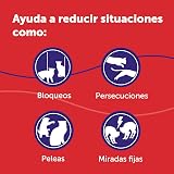 Ver la foto 5