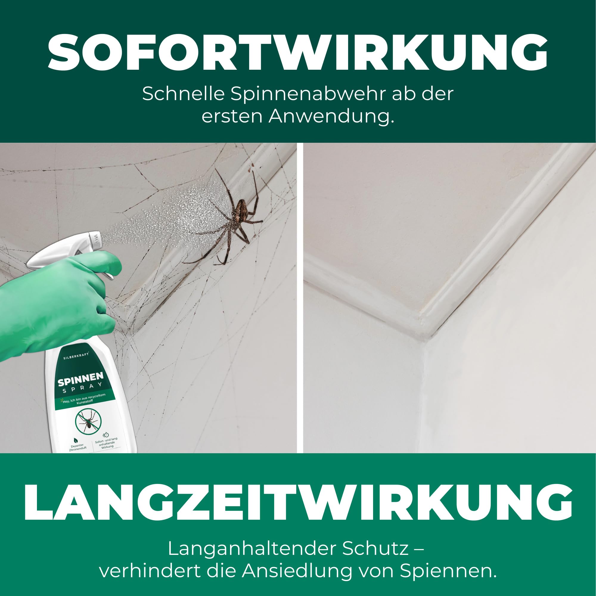 Silberkraft Spinnenspray 500 ml, Effektives Mittel gegen Spinnen in Haus, Wohnung & Garten, Langzeitwirkung bis zu 3 Monate, Alternative zu Spinnengift & Spinnenfallen