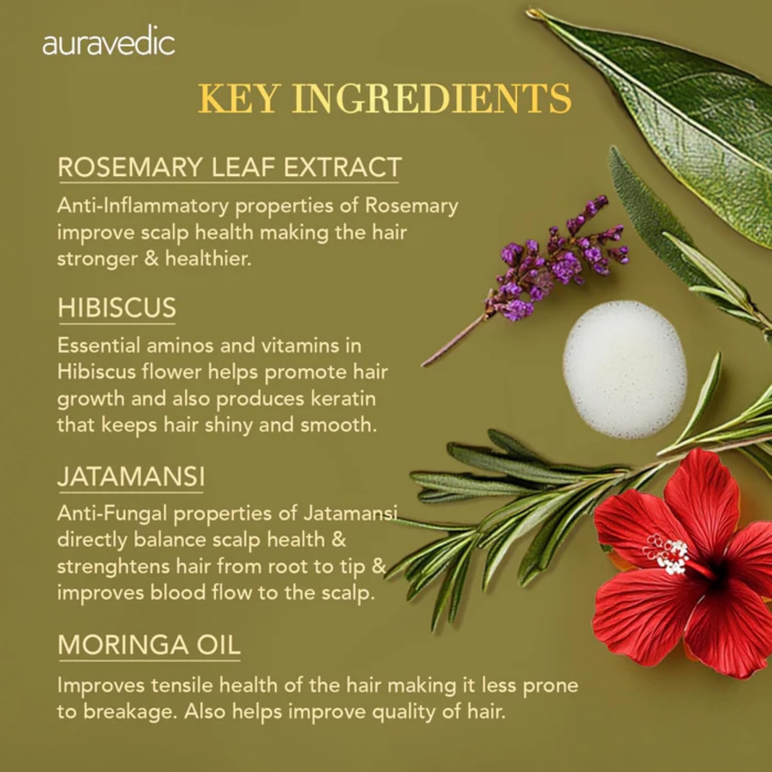 Auravedi Rosemary Shampoo For Hair Growth 300ML Anti Hair Fall Shampoo For Women Men Rosemary Oil For Hairfall with Hibiscus Peppermint Leaf Menthol Ginger Moringa Jatamansi & Tea Tree Oil