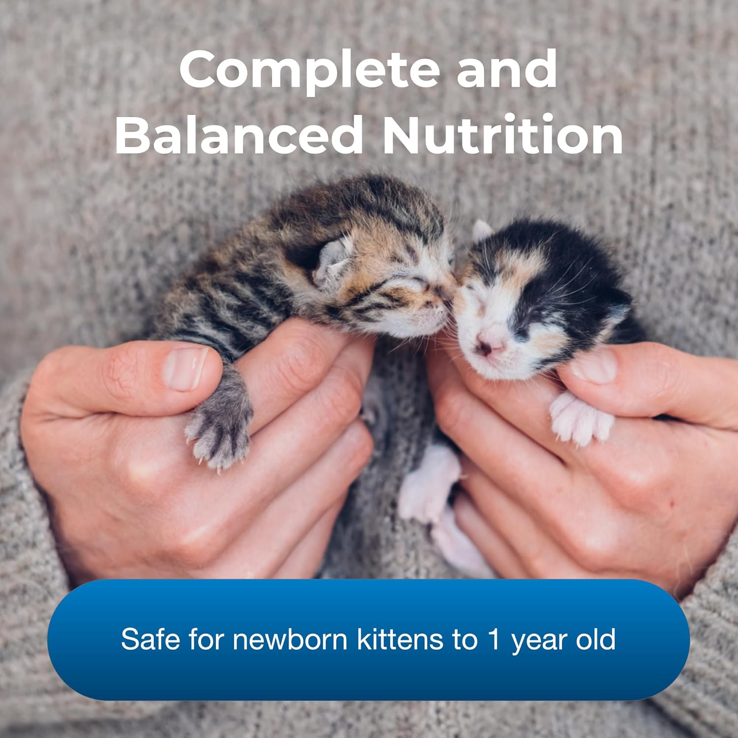 Pet-Ag PetLac Powder for Kittens - 10.5 oz, Pack of 3 - Kitten Milk Replacement Powder for Kittens Newborn to Six Weeks Old - Easy to Digest