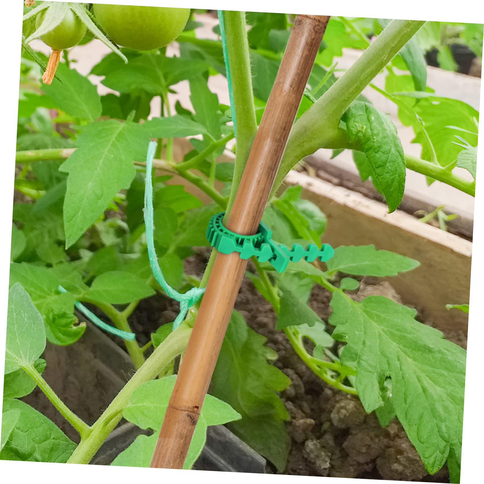 BESPORTBLE 54pièces Attaches De Plantes Réglables Support pour Arbres Et Vignes Lien Et Ajustable pour Fixer Vos Plantes Toute Sécurité