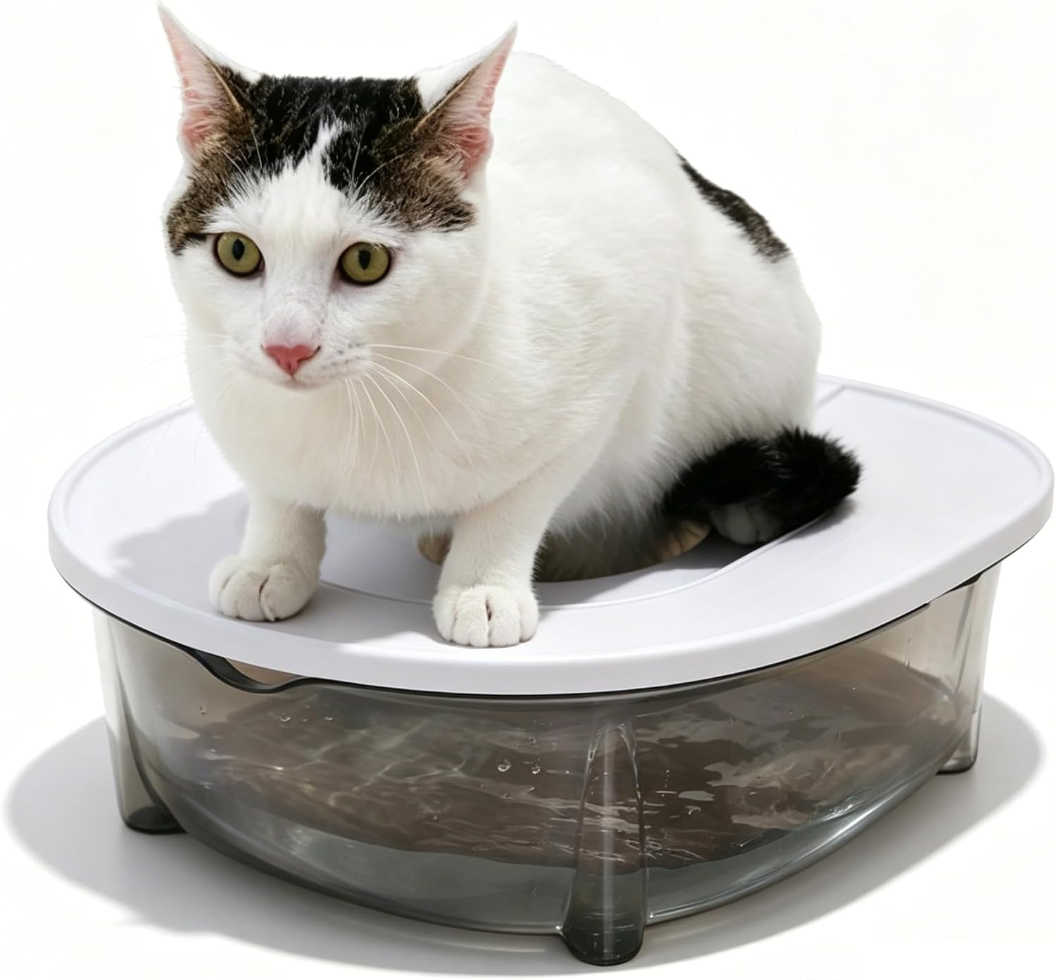Cat Potty Toilet Training Kit Cat Toilet Trainer Kit, Anti-Splash Leak-Proof Stable Double-Layer Plastic Training, Style 2