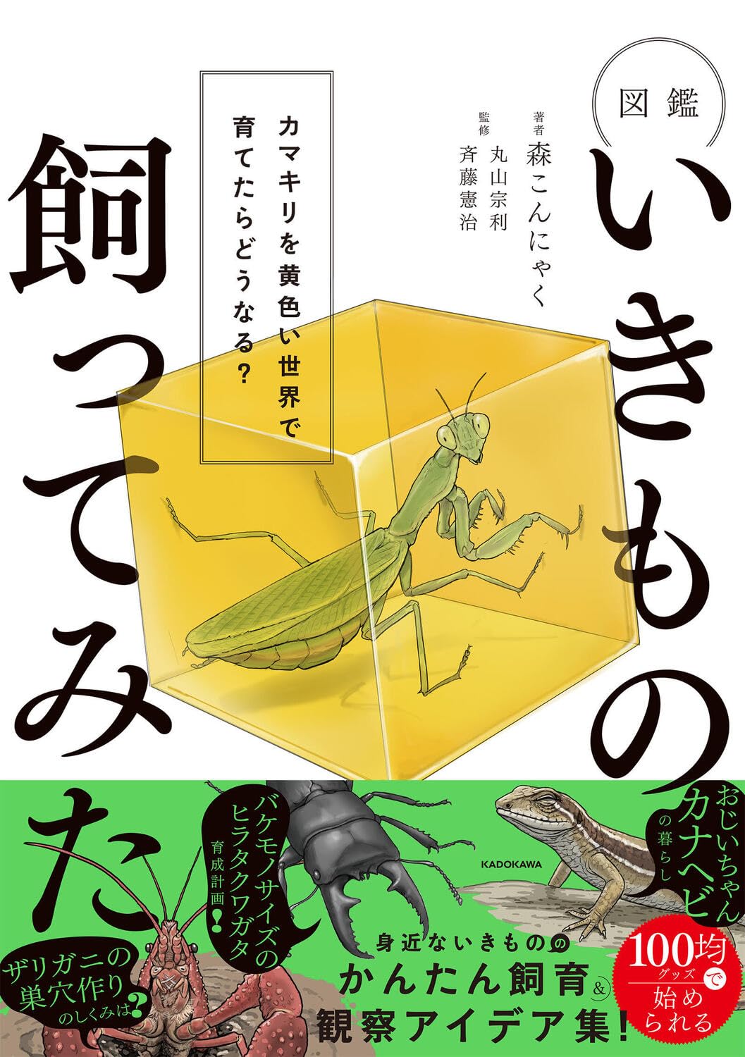 図鑑いきもの飼ってみた カマキリを黄色い世界で育てたらどうなる