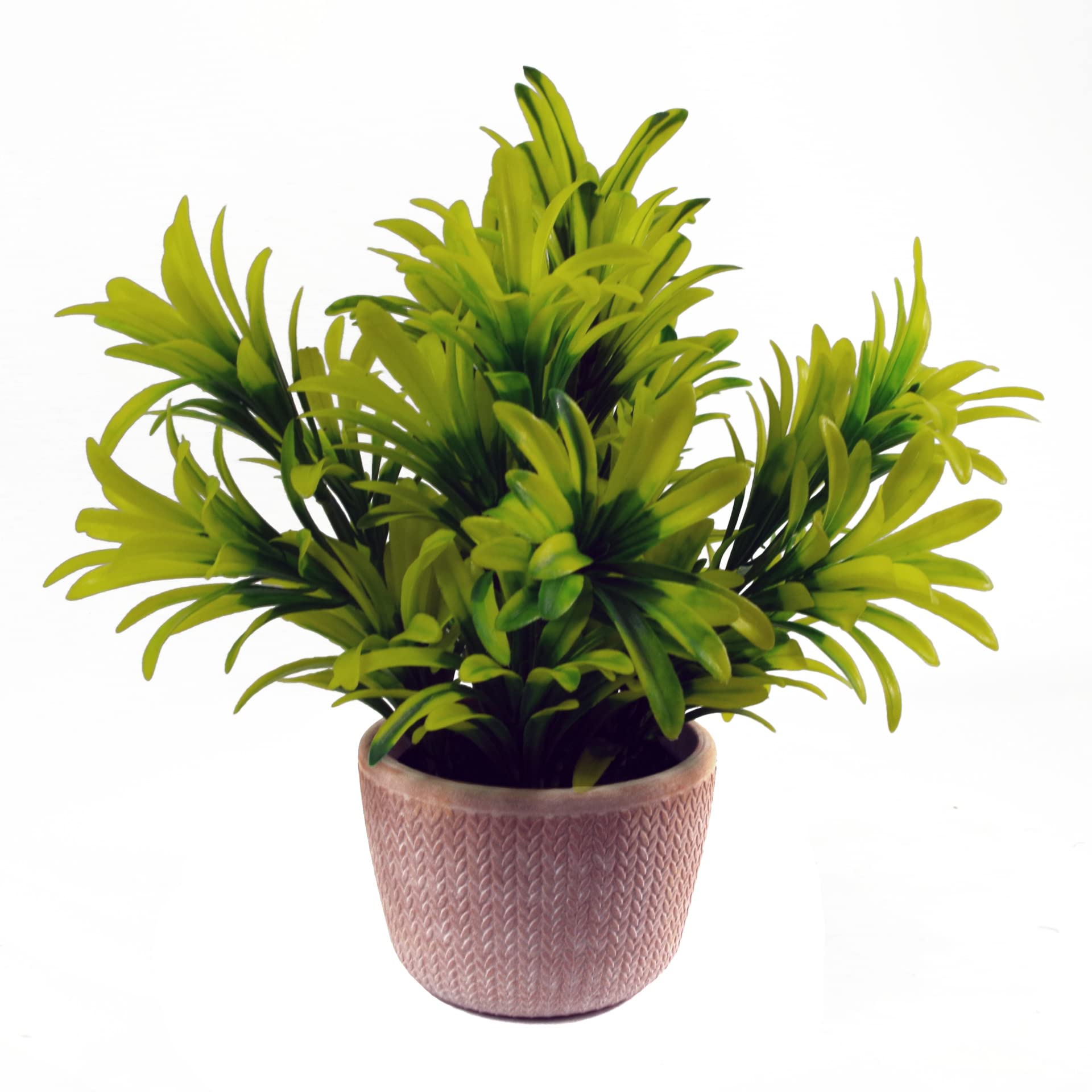 Leaf 22cm Honey Plant - Light Green Artificial Flower - Yellow - New - Terracotta Pot