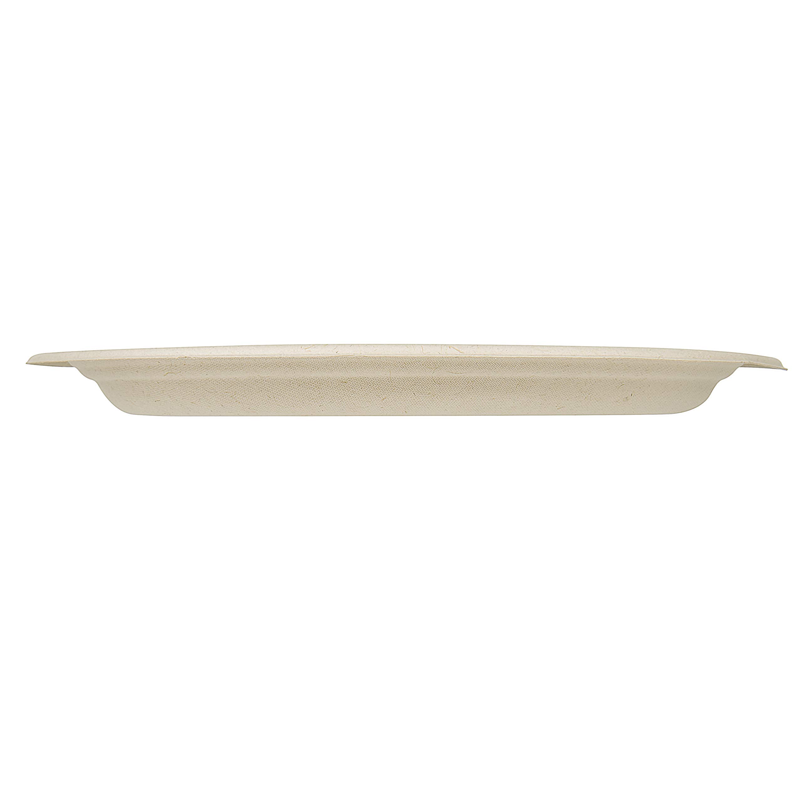 Platos de papel desechables 100% compostables a granel [Paquete de 50 unidades ovaladas de 12.5 pulgadas], platos de bambú, ecológicos, biodegradables, resistentes, platos grandes para cena