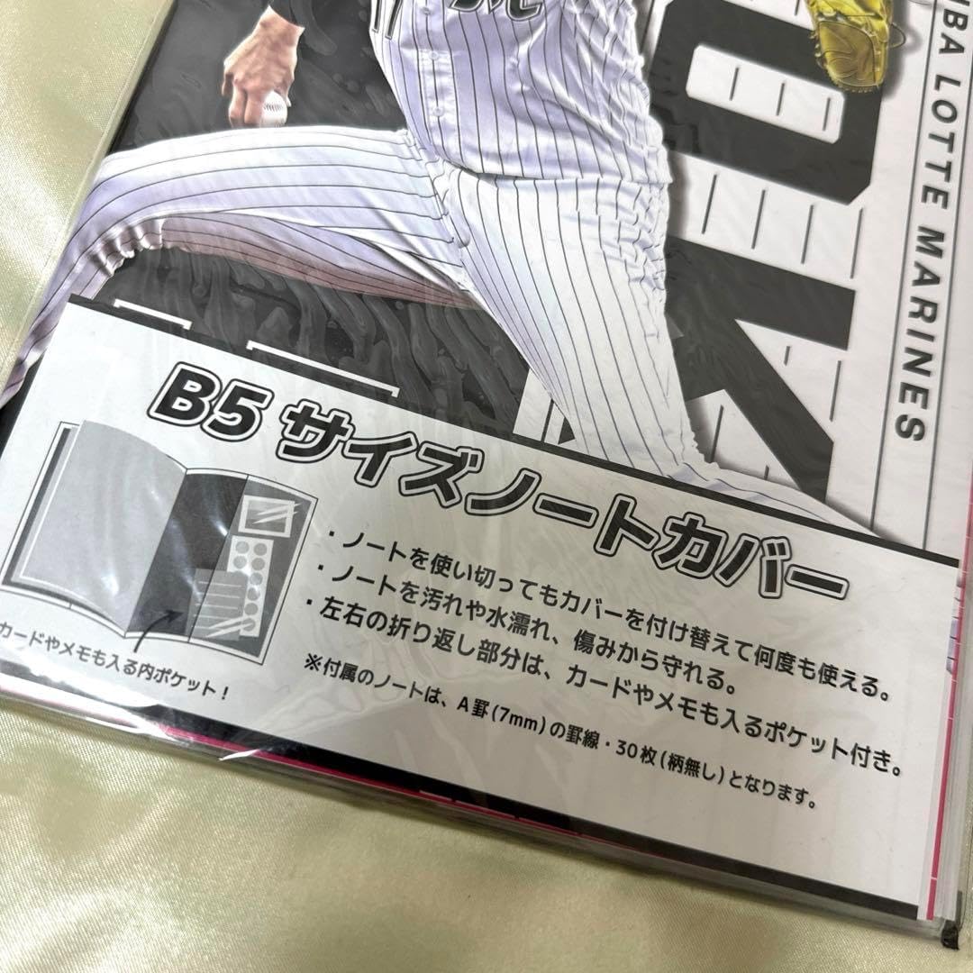 佐々木朗希 完全試合記念フレーム切手セット 日本プロ野球28年ぶり、史上