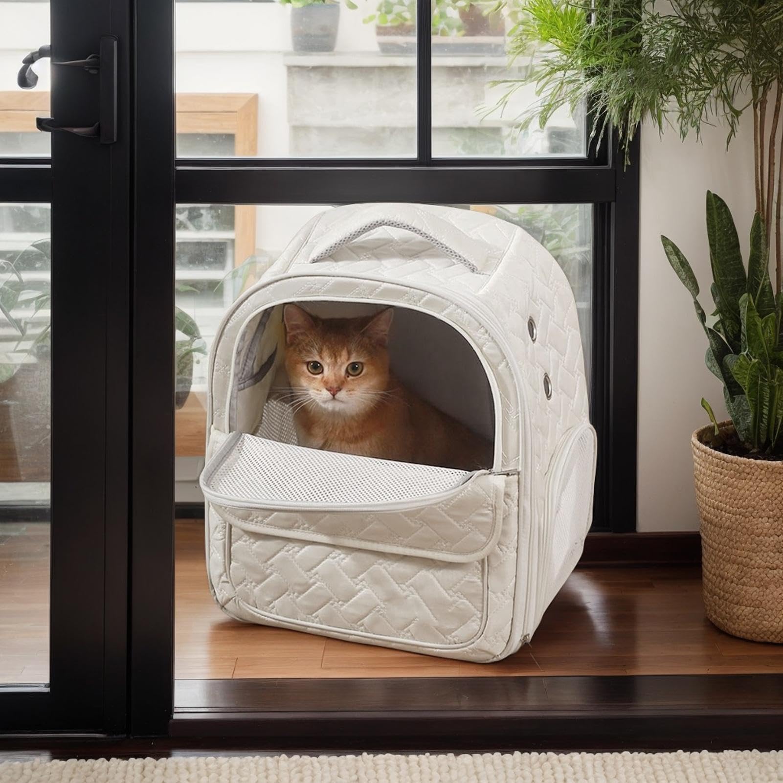 Zaino trasportino per gatti, borsa da viaggio per animali domestici, design pieghevole, per interni ed esterni, escursionismo, campeggio, moto, trasporto approvato dalle compagnie aeree, per gattini