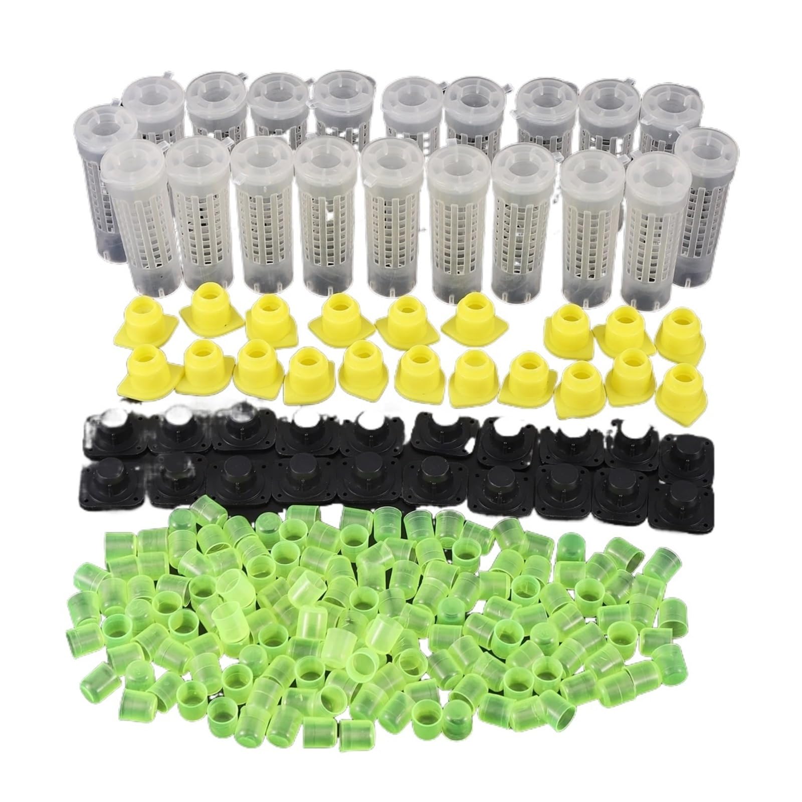 Lot de 5 cages cellulaires pour apiculture, transport de prisonniers