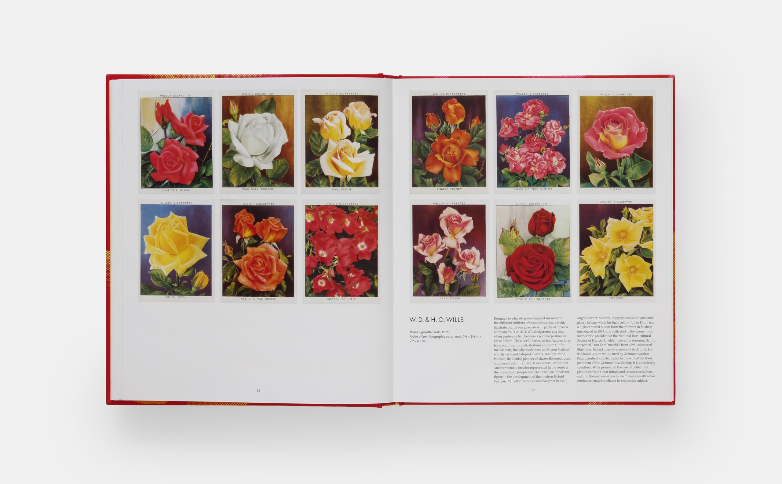 The Rose Book (ART)