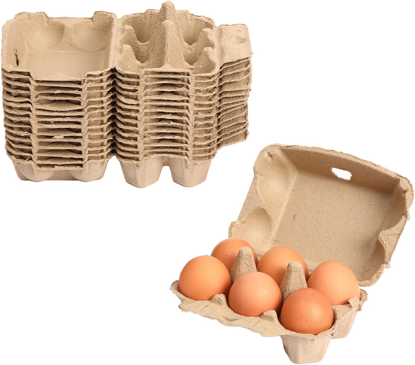 Amazon.com: Lechay 20 Pcs Egg Cartons Cheap Bulk, 2x6 Eggs 12 count ...