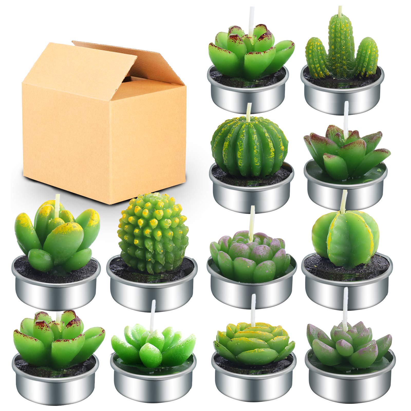 OuteeCactus Tealight Candles, 12 Pack Handmade Delicate Succulent Cactus Candles Flameless Aromatherapy 12 Designs for Birthday Party Wedding Spa Home Decoration
