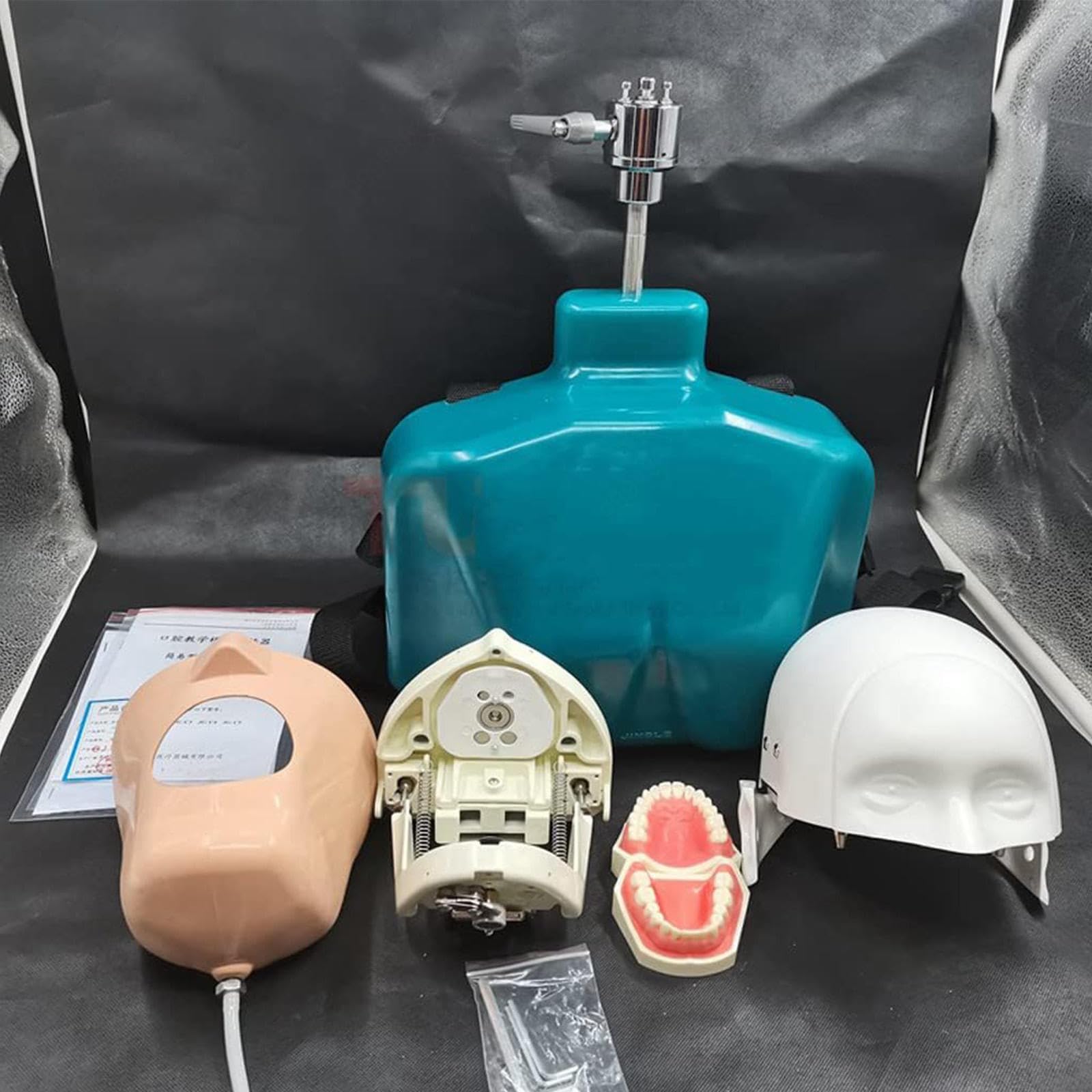 Modello di Testa Fantasma per addestramento odontoiatrico, Modello di Testa di simulatore odontoiatrico con Torso e Denti Rimovibili per Dentisti, assistenti odontoiatrici e igienisti